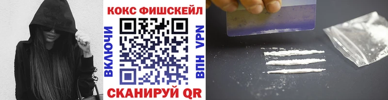 Купить где  Пласт  Кокаин Fish Scale 