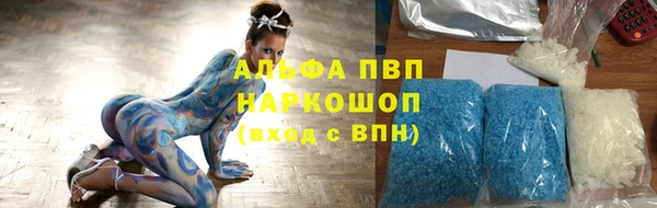 индика Куйбышев