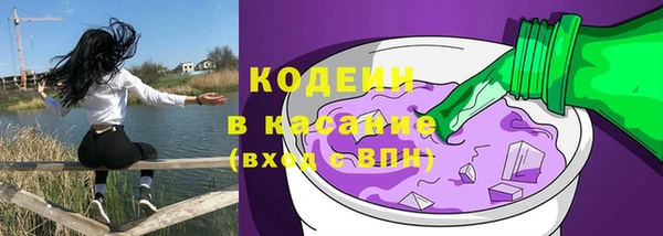 индика Куйбышев