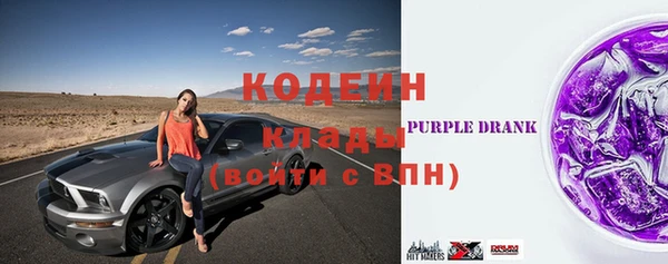 индика Куйбышев