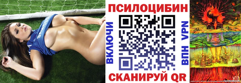 Галлюциногенные грибы прущие грибы  Купить закладки  Пласт 
